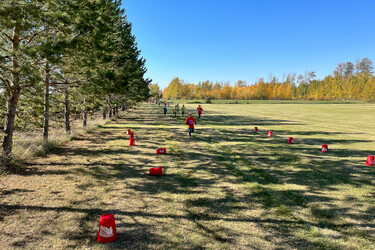 young students running through a field along the treeline