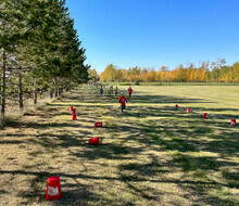 young students running through a field along the treeline